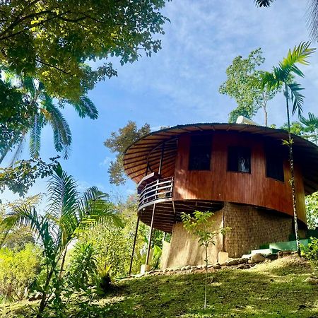 Paradiselodge Jungleguesthouse Platanillo Exterior photo